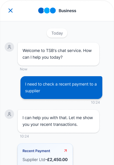 TSB chat wireframe — opening flow